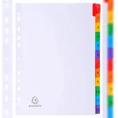 Exacompta 20x Tabbladen karton 160g - versterkte gekleurde tabs + inbdexblad - 12 tabs - A4 - Wit - 1112E