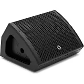 G4M 10" Passive Stage Monitor / PA Speaker