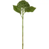 J-Line hortensia - kunststof - groen - 6 stuks
