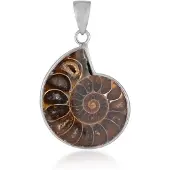 Cavill - Zilveren Hanger met 23 ct Ammoniet uit Madagaskar - 925 Sterling Zilver - Spiraalvormig Nautilus Design - Fancy Slijpsel - Elegante Hanger