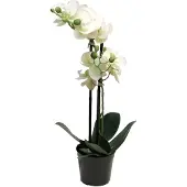 Buitengewoon Boet Phalaenopsis orchidee in pot 50 cm wit kunstplant