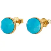Spiru Studs oorbellen geboortesteen december turkoois facet - goud