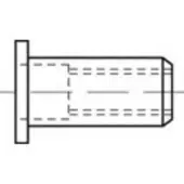Toolcraft TO-5444235 Popmoer M6 Staal 250 stuk(s)