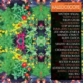 Bertus Distributie Kaleidoscope (3LP)