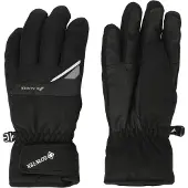 Zanier Handschoenen 'Trysil GTX' zwart