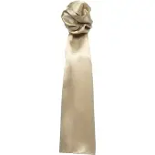 Premier Sjaal - Dames/vrouwen Gewone Zakelijke Sjaal (Khaki)