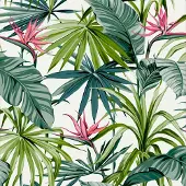 Wow Vliesbehang Bird Of Paradise Flower - Groen - Roze - Wit - 10,05m X 52cm
