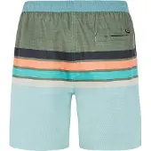 Protest Beachshort Men Prtavik Pale Green-S