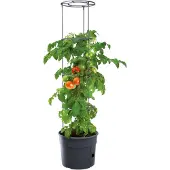 Prosperplast Vorstbestendige tomatenpot Tomatenteler IPOM300