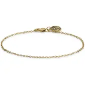 Lucleon Essentials | 1,5 mm Lichtgewicht Goudkleurige Armband met Kabelschakels