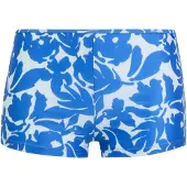 Regatta Dames Aceana Fleur Bloom Bikini Shorts (Blauw)