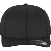 Flexfit Pet zwart