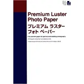 Epson S042123 premium luster photo paper 250 grams A2 (25 vel)