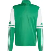 Adidas Functioneel shirt 'Squadra 25' groen / wit