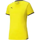 Puma Tricot 'Team Liga' geel / zwart