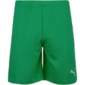 Puma Sportbroek 'TeamRise' groen / wit