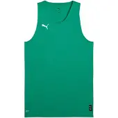 Puma Functioneel shirt 'Teamjaws Starter' groen / wit