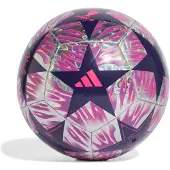 Adidas UEFA Champions League Training Foil Final Voetbal Maat 5 2025-2026 Zilver Paars Roze