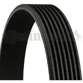 CONTITECH Multiriem 7PK1642 Contitech voor o.a. HONDA, NISSAN, RENAULT, TOYOTA