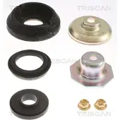 TRISCAN 8500 69903 Veerpootlager