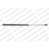 LESJÖFORS 8156832 Gasveer achterklep
