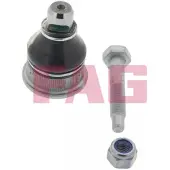Fag Fuseekogel 825 0188 10