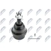 NTY Fuseekogel ZSD-CH-011