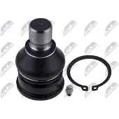 NTY Fuseekogel ZSD-FR-009