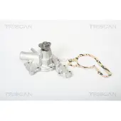 TRISCAN 8600 12830 Waterpomp