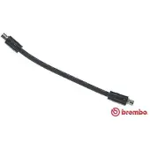 Brembo Remslang T 85 134