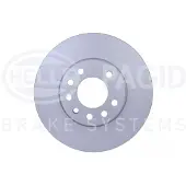 HELLA PAGID Remschijf 8DD 355 127-381