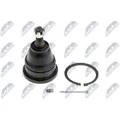 NTY Fuseekogel ZSD-CH-020