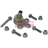 Fag 825 0384 10 Fuseekogel