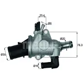 MAHLE ORIGINAL TI 174 88 Thermostaat, koelvloeistof