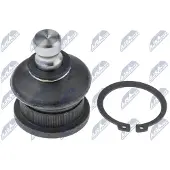 NTY Fuseekogel ZSD-RE-014