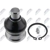 NTY Fuseekogel ZSD-FR-014
