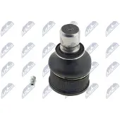 NTY Fuseekogel ZSD-MZ-019