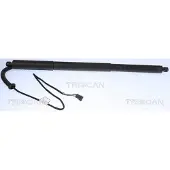 TRISCAN Gasveer, bagageruimte 8710 11305
