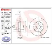 Brembo Remschijf 9587011 voorkant, geventileerd, 1 stuk