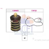 Facet 7.8966 Thermostaat, koelvloeistof