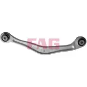 Schaeffler FAG 821 0698 10 Draagarm