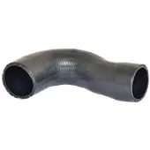 BUGIAD 87602 Laadluchtslang