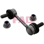 Fag Stabilisatorstang 818 0698 10