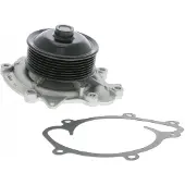 VAICO Waterpomp, motorkoeling V30-50059