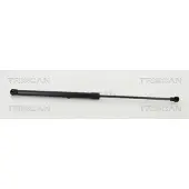 TRISCAN Gasveer, bagageruimte 8710 14256