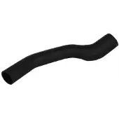 THERMOTEC Slang, luchtRadiator DCG001TT