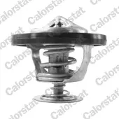 CALORSTAT by Vernet TH7217.95J Thermostaat, koelvloeistof