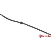 Brembo T 61 036 Remslang