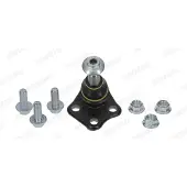 Moog Fuseekogel RE-BJ-15615