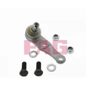 Fag Fuseekogel 825 0107 10